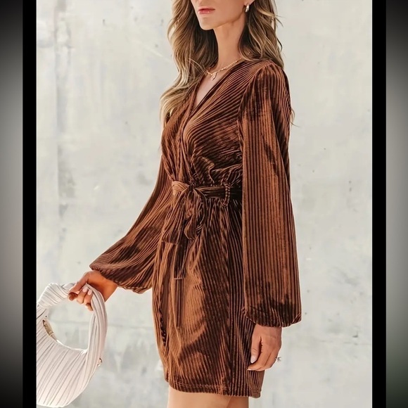 Stretchy Knitted Velvet Long Sleeve Belted Dress - Picture 3 of 3